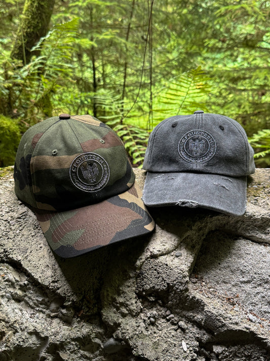 "VETERAN" CAP